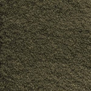 Forest Green 240