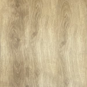 LVT 556