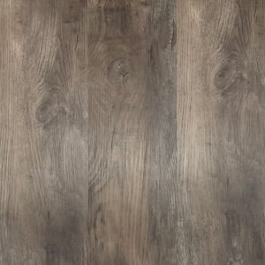 LVT 558