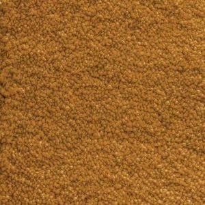 Ochre 50