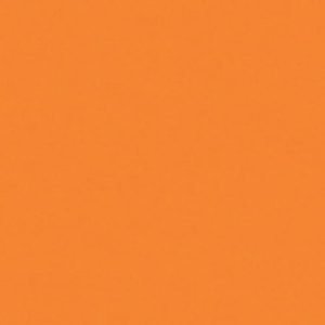 Orange 25148 042