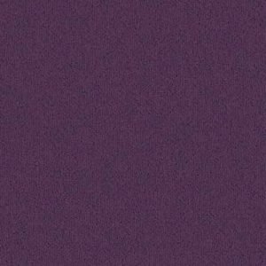 685 Violet