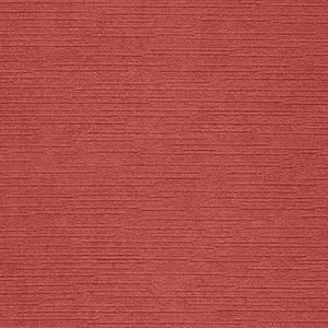 AG 4445010038