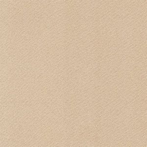 AG 4595010010