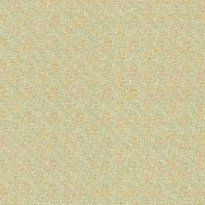 AG 4972019016