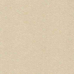 AG 4972019019
