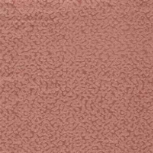 AG 5053015022