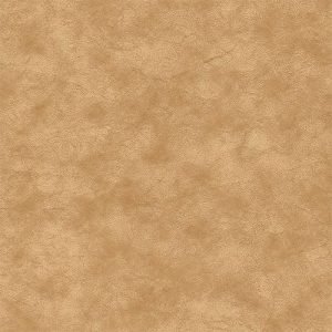 AG 5054010062