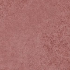 AG 5062010023