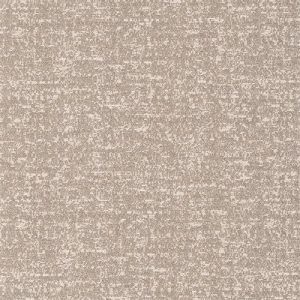 AG 5075020019