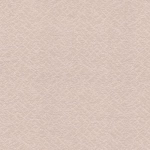 AG 5102018010