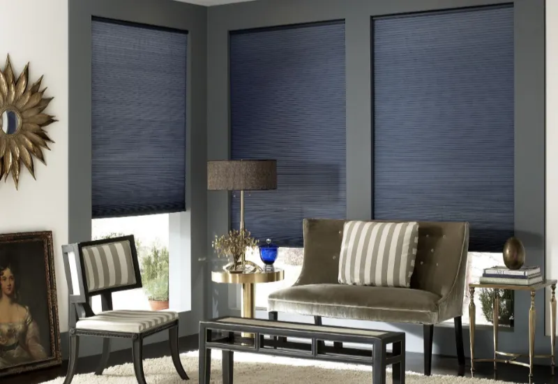 Blackout blinds Dubai for luxury room
