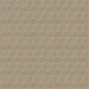 Folio Belarus Latte