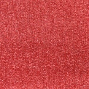 Indian Banaras Organza 34