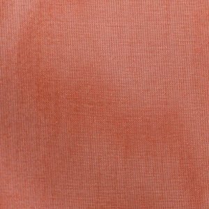 Indian Organza Collection 33