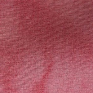 Indian Organza Collection 49