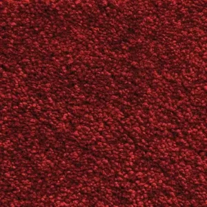 MS 020