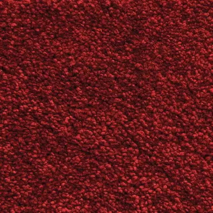 MS 020