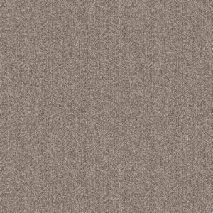 PH 204