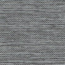 CT-Screenline-977