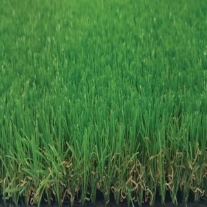 Tekgrass 30C