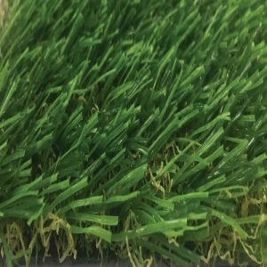 Tekgrass 33GB
