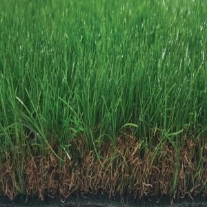 Tekgrass 60S