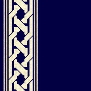 ASF-AL-MINA-NAVY