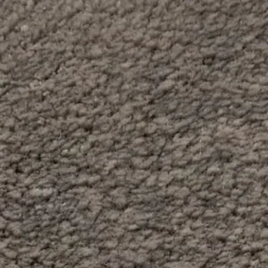 ASF-Senora 3431