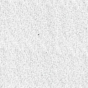 CT-Vittorio-4143-1
