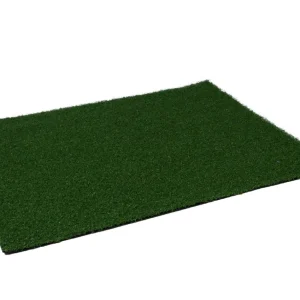 ZS-Golf green-01