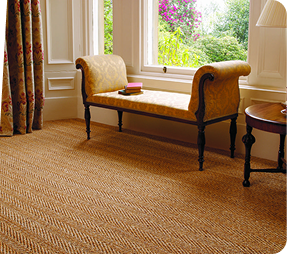 Sisal Carpet