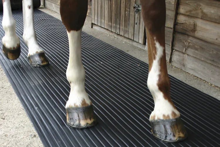 Horse Stall Mats RAK