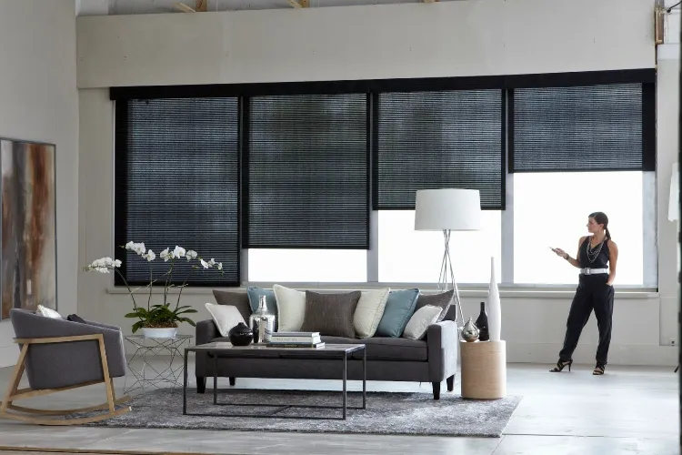 modern Motorized blinds